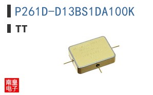 P261D-D13BS1DA100K