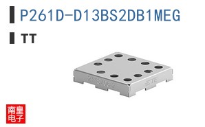 P261D-D13BS2DB1MEG