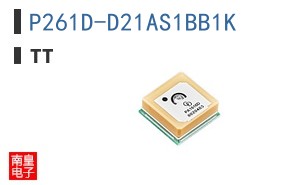 P261D-D21AS1BB1K