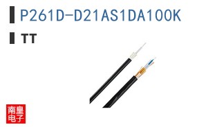 P261D-D21AS1DA100K