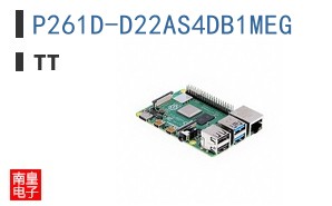 P261D-D22AS4DB1MEG