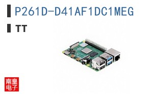 P261D-D41AF1DC1MEG