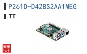 P261D-D42BS2AA1MEG
