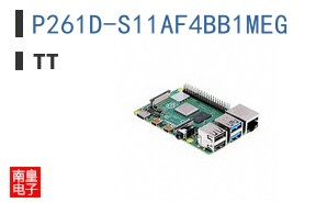 P261D-S11AF4BB1MEG