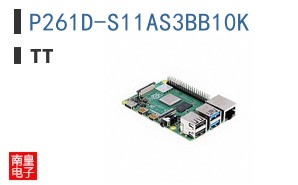 P261D-S11AS3BB10K
