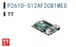 P261D-S12AF2CB1MEG