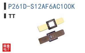 P261D-S12AF6AC100K