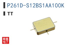 P261D-S12BS1AA100K