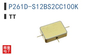 P261D-S12BS2CC100K