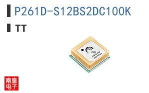 P261D-S12BS2DC100K