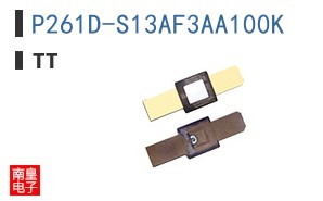 P261D-S13AF3AA100K