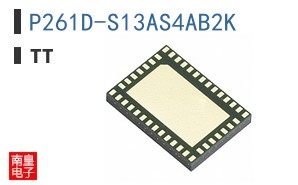 P261D-S13AS4AB2K