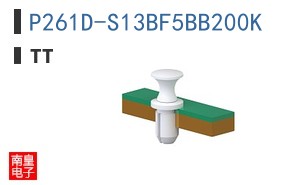 P261D-S13BF5BB200K