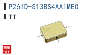P261D-S13BS4AA1MEG