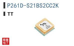 P261D-S21BS2CC2K
