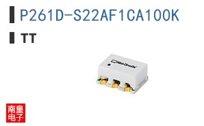 P261D-S22AF1CA100K