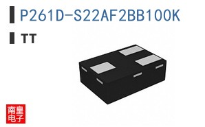 P261D-S22AF2BB100K