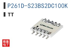P261D-S23BS2DC100K