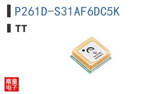 P261D-S31AF6DC5K