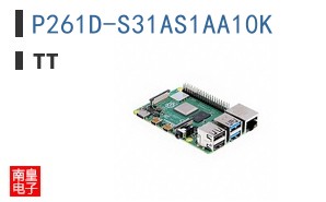 P261D-S31AS1AA10K
