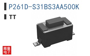 P261D-S31BS3AA500K