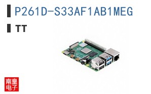 P261D-S33AF1AB1MEG