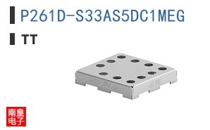 P261D-S33AS5DC1MEG