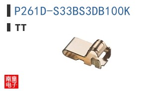 P261D-S33BS3DB100K
