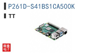 P261D-S41BS1CA500K
