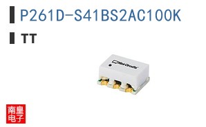 P261D-S41BS2AC100K