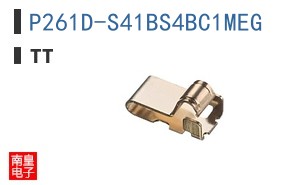 P261D-S41BS4BC1MEG