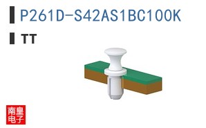 P261D-S42AS1BC100K