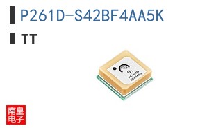 P261D-S42BF4AA5K