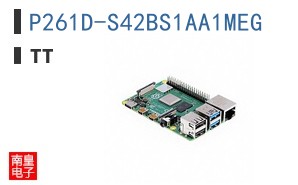 P261D-S42BS1AA1MEG