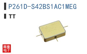 P261D-S42BS1AC1MEG