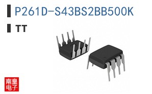 P261D-S43BS2BB500K
