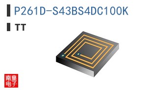 P261D-S43BS4DC100K
