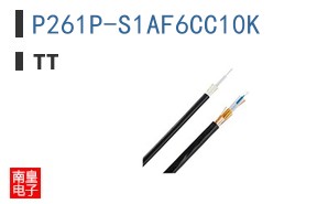 P261P-S1AF6CC10K