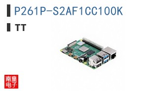 P261P-S2AF1CC100K