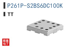 P261P-S2BS6DC100K