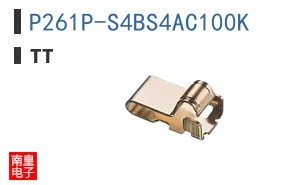 P261P-S4BS4AC100K