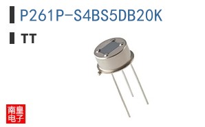 P261P-S4BS5DB20K