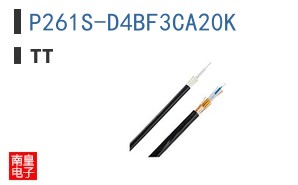 P261S-D4BF3CA20K