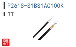 P261S-S1BS1AC100K
