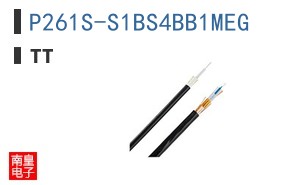 P261S-S1BS4BB1MEG