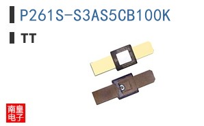 P261S-S3AS5CB100K
