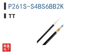 P261S-S4BS6BB2K