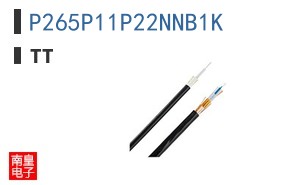 P265P11P22NNB1K