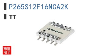 P265S12F16NCA2K