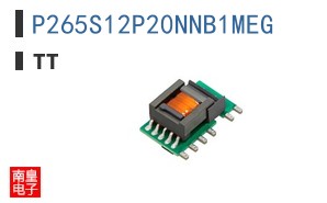 P265S12P20NNB1MEG